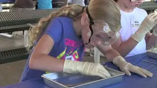 Summer Science Camp