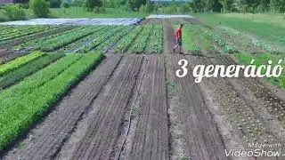 &Iacute;zes Udvar Biofarm