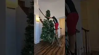 The $49.99 12 ft Christmas tree from Big lots