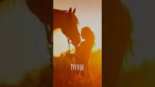 Was macht dich gl&uuml;cklich?💓 #gl&uuml;cklichsein #ponyliebe #shorts #bff #equestrian @Barny19