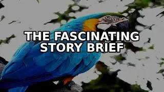 The Fascinating Story of Brief stunning moments from the wild