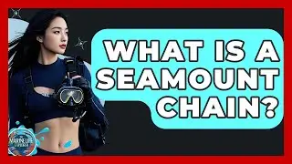 What Is A Seamount Chain? - The Marine Life Explorer