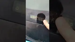 Номера VIN исчезли