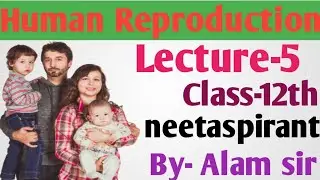 Cross section of penis🔥🔥Human reproduction Class 12th #neetaspirant #kgnalamsir