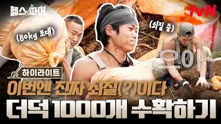 진짜 헬짱은 농사하면서 중량 친다💪 더덕 80kg 수확하려고 근육 총동원‼️ #헬스파머 EP.2