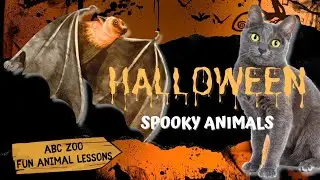 ABC ZOO Spooky Animals Extravaganza: Fun Halloween Animal Facts for Kids 🎃