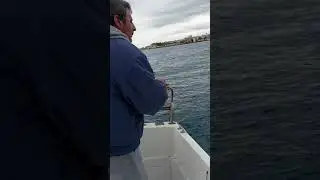 pesca al polpo