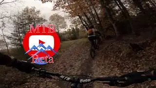Troll Stroll  - Kingdom Trails - North East Kingdom Vermont