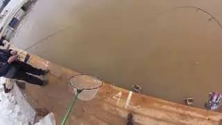 Trout Area in Russia