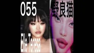 Elle Teresa - 野良猫 [Eschartoporonium Bootleg]