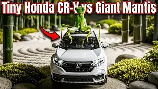 Tiny Honda CR-V vs Giant Mantis: Zen Garden & Bamboo Forest Journey (ASMR)