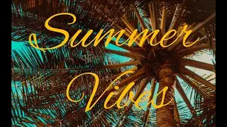 Summer playlist 🌊🌈