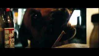 Shooter - Dog Getting Beer