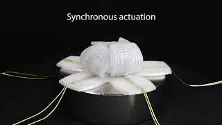 Movie S8. A programmable flower soft electromagnetic actuators.
