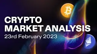 Crypto Market Analysis - 23 Feb 2023