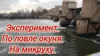 РЫБАЛКА ЭКСПЕРИМЕНТ ПО ОКУНЮ СПИННИНГ)))