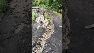 Mandi Road (Himachal)#mandi #flood #shorts #short #shortvideo #shortsvideo #status #reels