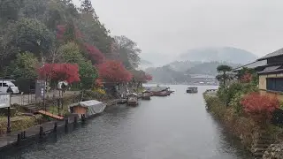Part 2: Arashiyama, Sagano romantic train 🍁🚂 