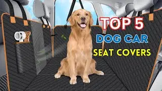 Top 5 Best Dog Car Seat Covers in 2024