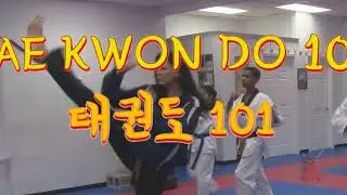 TAE KWON DO - 101: first lesson