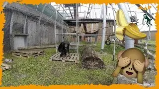 Op z'n elf-en-dertigst - AFLEVERING #10 - Marria vlogt