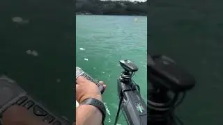 Garmin force remote in action