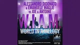 W.I.A.M. (Extended Mix)