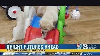 southeastern guide dogs