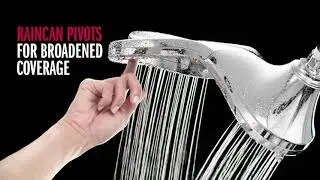 Delta HydroRain 2 in 1 Showerhead 58581-PK