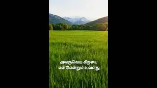 Tamil song #shorts