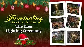 Christmas Tree Lighting Celebration - Spreading Joy and Light 🎄✨ | Dec 20, 2024