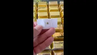 Gold Dig It Unboxing - 56 Different Ways To Open A Dig It - 1 in 24 Have Real Gold Episode 1