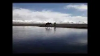 MARCELO MIRAGLIA - 