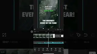 Auto Keyframe in Capcut
