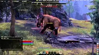 ESO Werewolf 1.4 vs 1.5