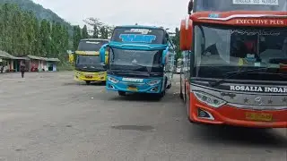 Bus akap meramaikan terminal surodakan trenggalek || surya Trans handoyo rosin setiawan rana jaya