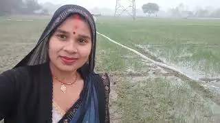 #gehu ki sichai#vairal video# gaav ki thandhi#