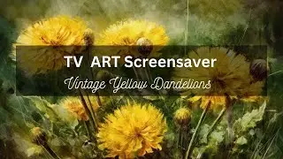 Vintage Yellow Dandelions, 4 pictures, 1 hour. No sound Screensaver