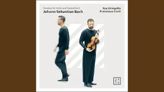 Violin Sonata No. 3 in E Major, BWV 1016: I. Adagio