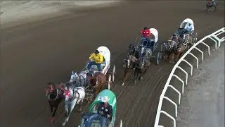 1 horse dead in Calgary Stampede chuckwagon race
