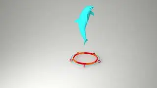 Morph Animation WIP Dolphin