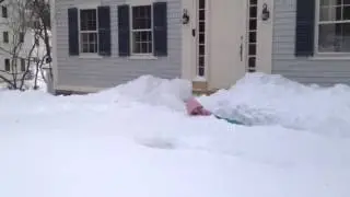 The Chimp Adventures: Skippy Loses a Whole Snow Shovel!