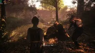 plague tale (GPU:RX 6400)