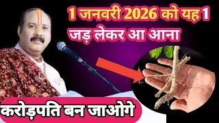 1 जनवरी नए साल पर ले आना ये 1  गुप्त जड़  |इतना पैसा आएगा संभाल नहीं पाओगे ||Pradeep Mishra ji 
