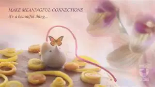 White Chocolate Mice (L.A.Burdick) has a new friend