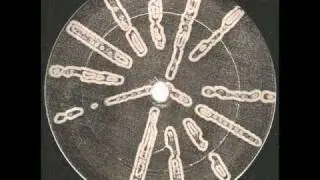 Basic Channel - Phylyps Trak II/II