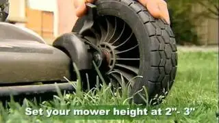 Healthy Lawn Tips &copy;