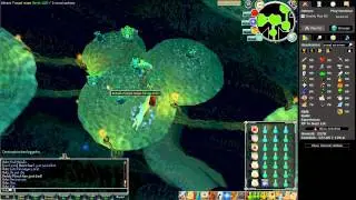 PolyPore Dungeon Guide