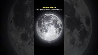 Craziest astronomical events still left in 2025 💀🌠 #shorts #space #astronomy #moon