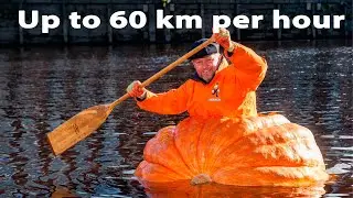 Strangest hobbies in the world! Types of hobbies for everyone in the world! How to start your hobby!
